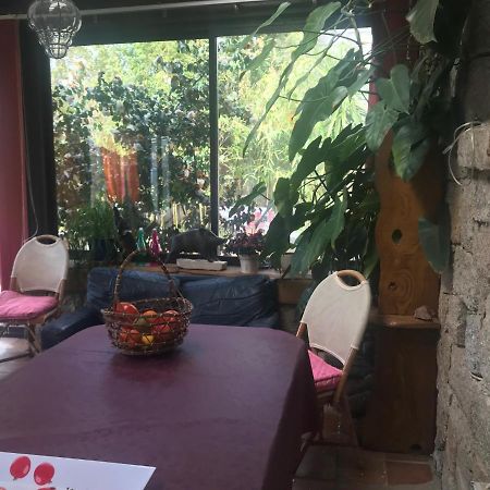 Le Paradis Bed & Breakfast Zicavo Екстериор снимка